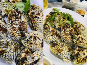 Loài cá có tên của một loại trái cây, xưa không ai ăn, giờ đặc sản được săn lùng, giá mắc đến mấy vẫn có nhiều người mua