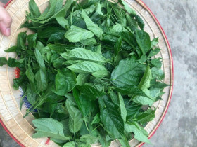 Đặc sản được xem là "lộc trời" ở miền Bắc chỉ dành đãi khách quý, dân thành phố lùng mua nhưng cực hiếm có