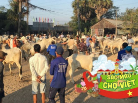 Chợ lạ ở An Giang chỉ bán duy nhất một mặt hàng, ban đầu chỉ là chợ tạm giờ thành trung tâm lớn bậc nhất