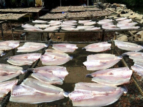 Loài cá có mùi thơm đặc biệt, làm khô lại càng hấp dẫn, giá mắc đến mấy vẫn có nhiều người mua