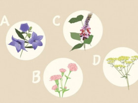 Trắc nghiệm: Bạn "ngốc nghếch" đến mức nào khi yêu? Chọn một bó hoa, bóc trần sự thật