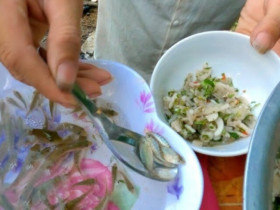 Đặc sản chỉ có ở Sơn La "nhảy tanh tách" trong cổ họng, nhiều người khiếp sợ nhưng là món chỉ dùng đãi khách quý