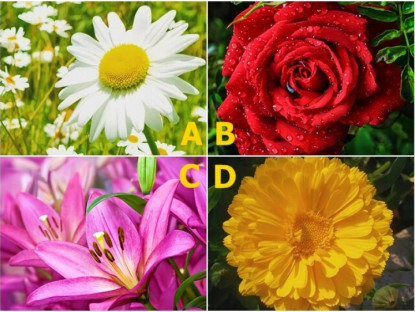 Trắc nghiệm: Nửa kia của bạn dễ bị mê mệt trước kiểu phụ nữ nào? Chọn một bông hoa là biết ngay