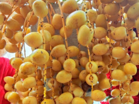 Dân mạng đồn chà là tươi cắn ngang thì chát, cắn dọc lại ngọt, mẹ đảm mách cách hay ăn kiểu nào cũng lịm tim