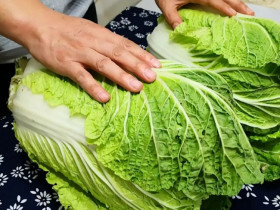 Bảo quản cải thảo ở chung cư, đừng đặt trực tiếp xuống đất, dưới đây là 2 bước đơn giản để giữ rau tươi ngon lâu ngày không bị hỏng