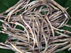 Loài cá tên lạ xưa không ai ăn, nay phơi khô lại thành đặc sản miền Tây, làm mồi nhậu thì ngon tuyệt đỉnh