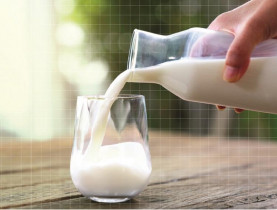 Uống sữa tươi bị tiêu chảy, vì sao?