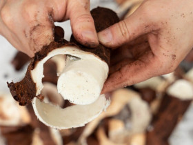 Loại củ rẻ như cho xưa để dân nghèo "chống đói", nay được chế biến thành nhiều món ngon nức tiếng đặc sản nhiều nơi