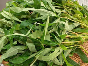 Loại rau xưa chỉ cho lợn ăn nay thành đặc sản Phú Thọ, thử một lần là nhớ da diết vì hương vị cực độc đáo