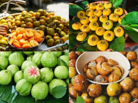 Chưa thưởng thức 4 loại quả này xem như chưa biết hương vị của mùa thu Hà Nội!