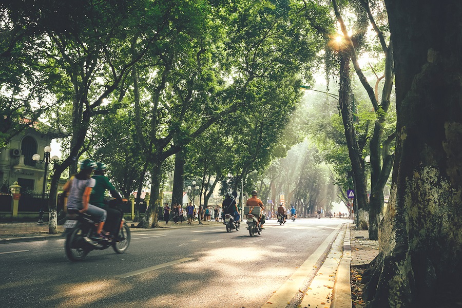 Cây xanh và những mùa hoa Hà Nội - 1