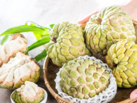 Mua na hay bị sượng, không ngọt lại nhiều giòi, người bán mách điều này chọn 10 quả thì 11 quả ngon