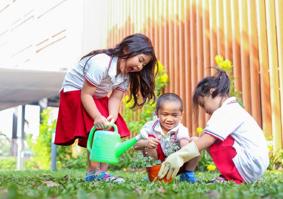 Những công dân Thủ đô biết yêu cái đẹp - 2