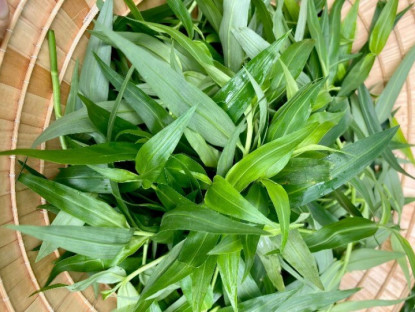 Loại cỏ dại xưa chỉ cho lợn ăn nay "lên đời" thành đặc sản siêu bổ dưỡng, giá đến 70.000đ/kg vẫn nườm nượp người mua