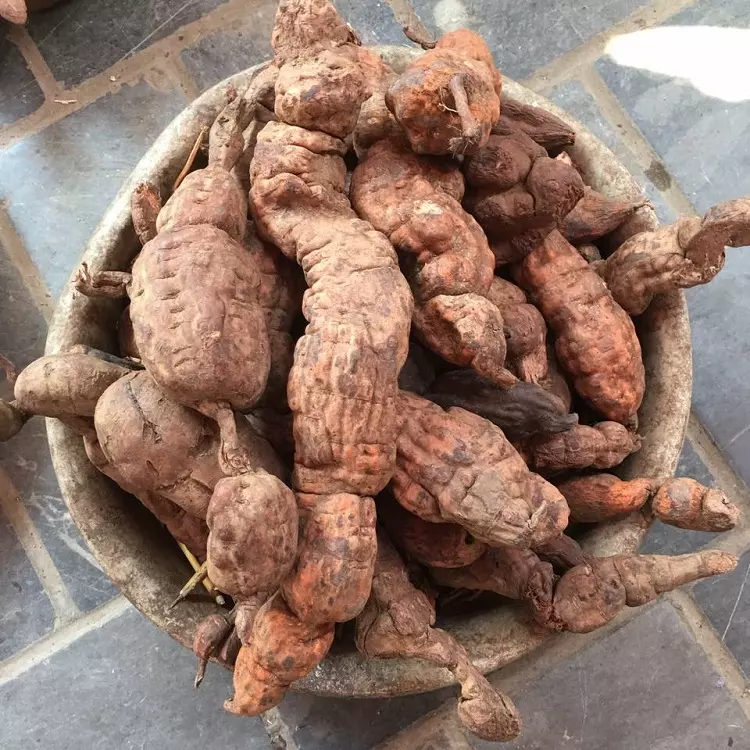 Học bà ngoại dùng loại nước này để gội đầu, cô gái nhận cái kết mỹ mãn, tóc không rụng mà ngày càng dày hơn - 5