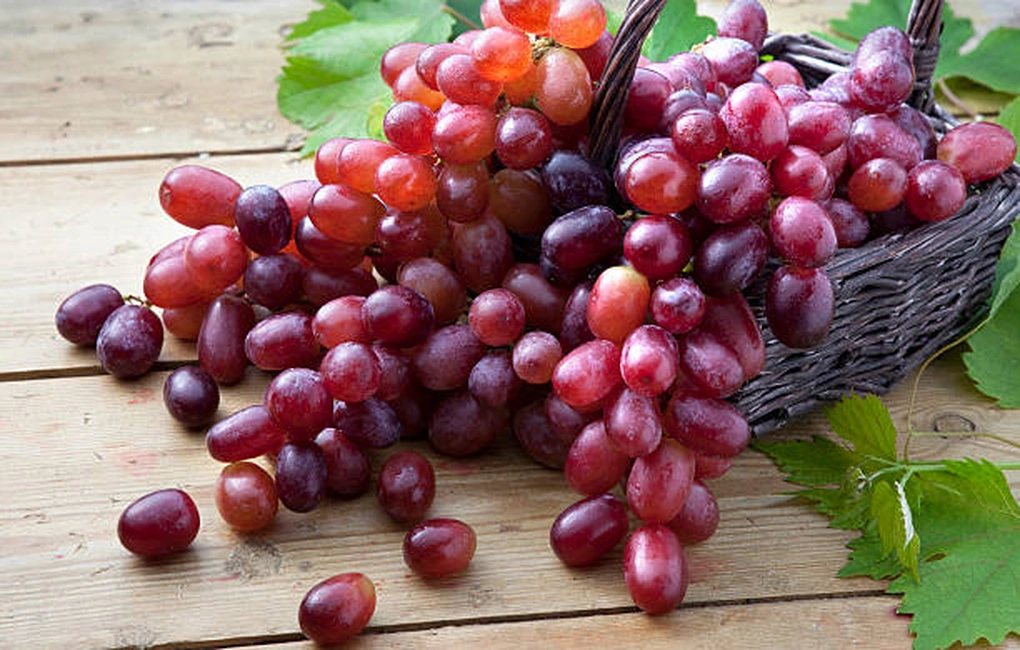 Thứ bán đầy ngoài chợ hóa ra là “vựa” chất chống oxy hóa, lấy vỏ đem đắp mặt cũng giúp da căng bóng, là phẳng nếp nhăn - 1