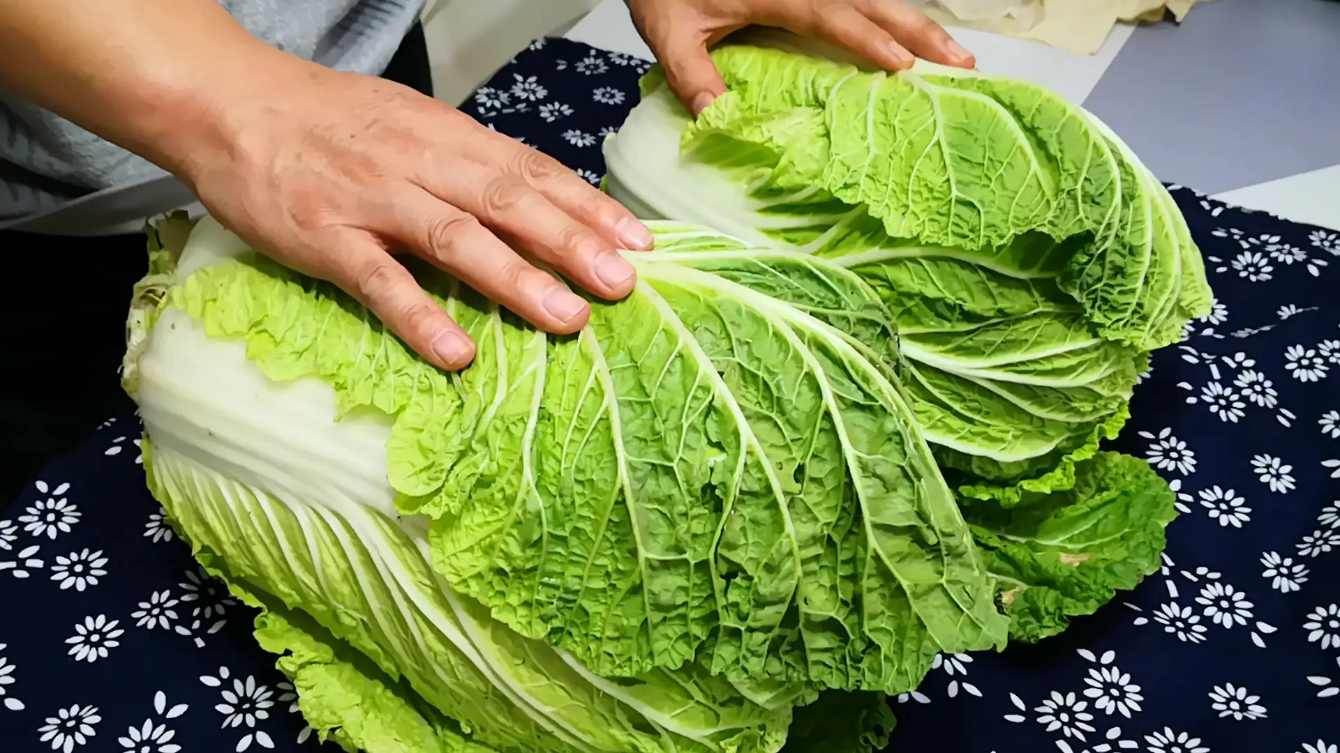 Bảo quản cải thảo ở chung cư, đừng đặt trực tiếp xuống đất, dưới đây là 2 bước đơn giản để giữ rau tươi ngon lâu ngày không bị hỏng - 2