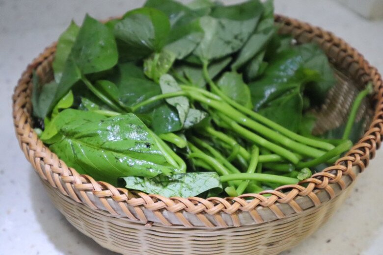 Cây này tưởng chỉ lấy củ nhưng phần lá tốt như thần dược, đem xào được món đưa cơm - 3