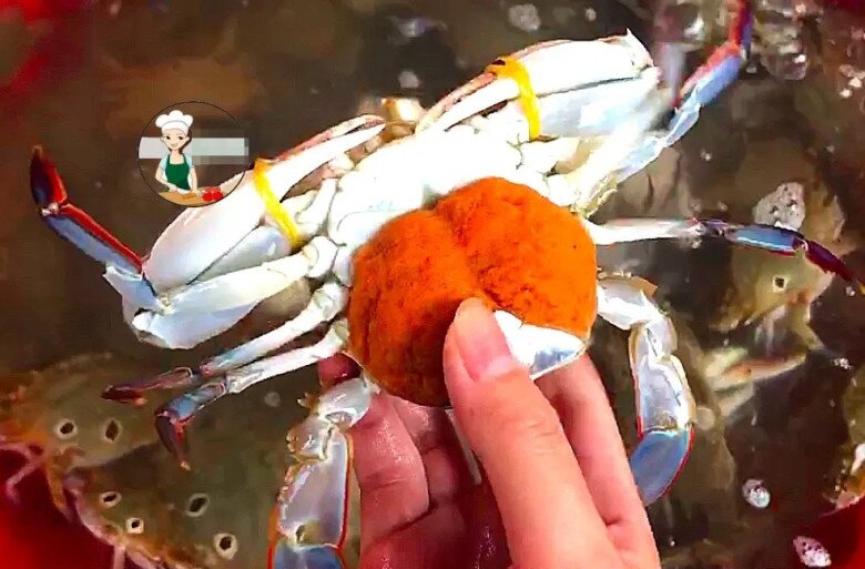 Mua cua ghẹ đừng chỉ chọn con to! Muốn biết cua nhiều thịt không, hãy nhìn 4 điểm này đảm bảo chọn con nào chuẩn con đó - 4