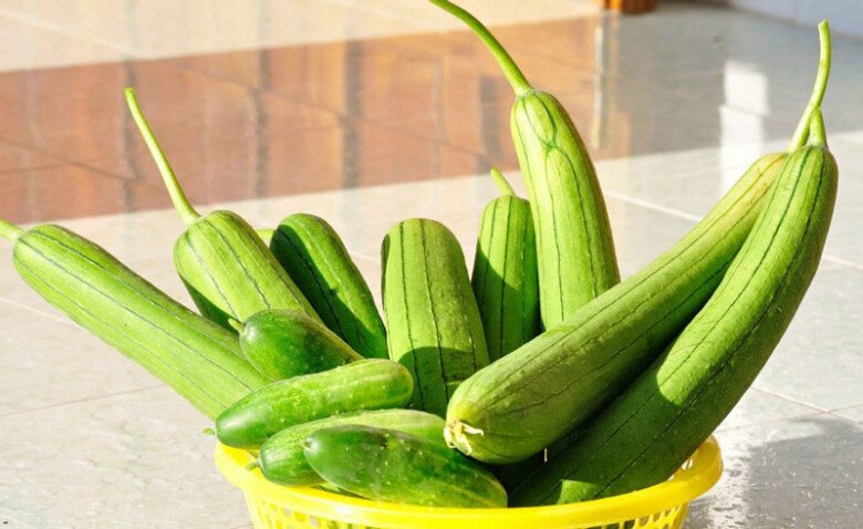 Mướp rất bổ, ví như &#34;nhân sâm người nghèo&#34; nhưng kỵ với 3 thứ này, biết rồi đừng dại nấu chung - 1
