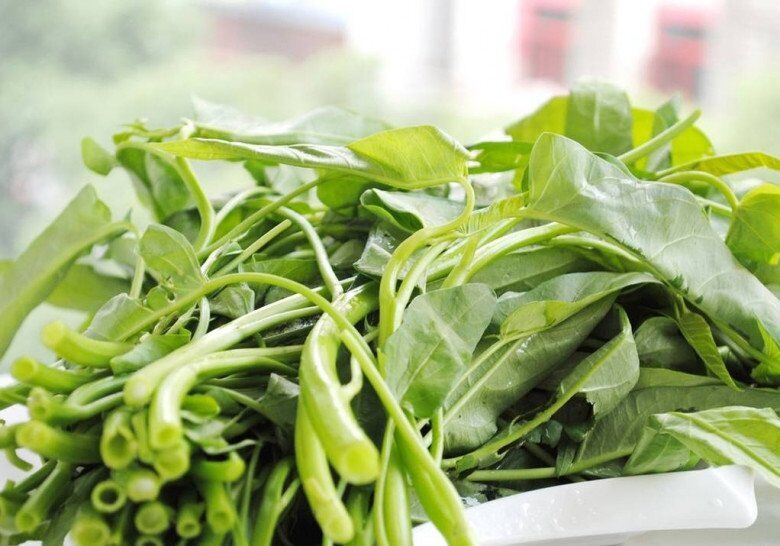 Xào rau muống đừng cho ngay vào chảo, thêm 2 bước này rau muống xanh mướt, giòn sần sật - 1