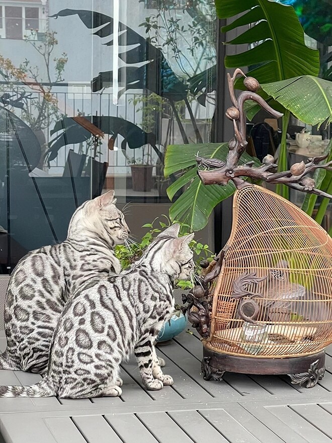 &#34;Vua nhạc đỏ&#34; vừa bị đồng nghiệp khui &#34;mỗi mùa lễ hội mua 1 căn nhà&#34;, tự nhận sợ vợ vì… cắt cơm - 8