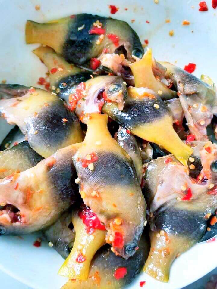 Loài cá tên kỳ quặc chỉ có ở Nha Trang, giá cao ngất ngưởng vẫn &#34;cháy hàng&#34; liên tục nhờ vị ngon hiếm có - 3