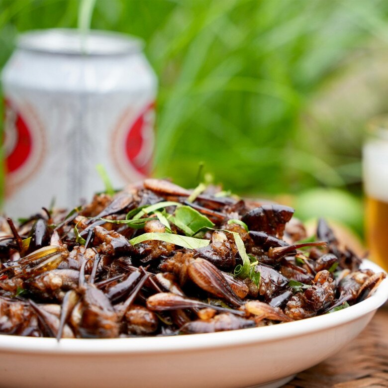 Loài vật khiến nhiều người &#34;rợn tóc gáy&#34; lại là đặc sản Sơn La, chỉ người sành ăn thì thấy ngon còn không chạy mất dép - 4