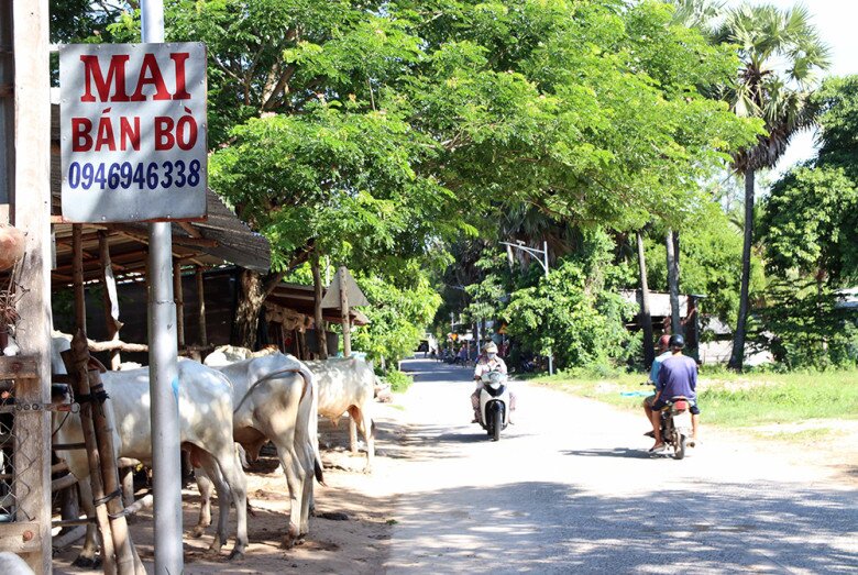 Chợ lạ ở An Giang chỉ bán duy nhất một mặt hàng, ban đầu chỉ là chợ tạm giờ thành trung tâm lớn bậc nhất - 4