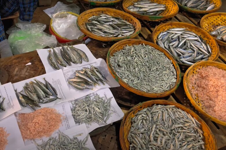 Giữa lòng Bình Định có khu chợ bán hải sản siêu rẻ, tồn tại gần 200 năm vẫn đông khách bậc nhất - 2