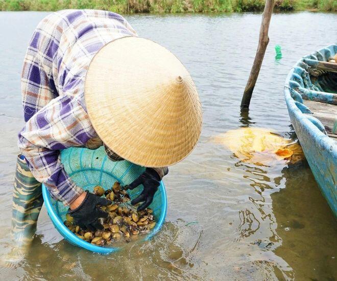 “Lộc trời” từ dưới bùn được mệnh danh là “vàng đen”, vị ngọt gây nghiện mà còn cực bổ dưỡng - 1