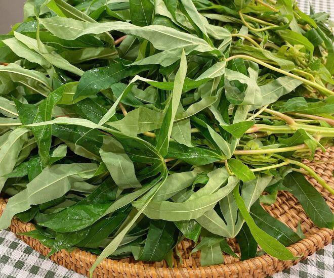 Loại rau xưa chỉ cho lợn ăn nay thành đặc sản Phú Thọ, thử một lần là nhớ da diết vì hương vị cực độc đáo - 1