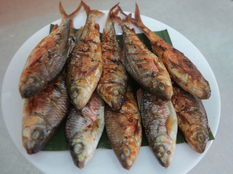Loài cá chỉ có ở Nghệ An là đặc sản thơm ngon nức tiếng, nay hiếm đến mức phải bảo tồn dù giá lên tới 400.000 đồng/kg - 5