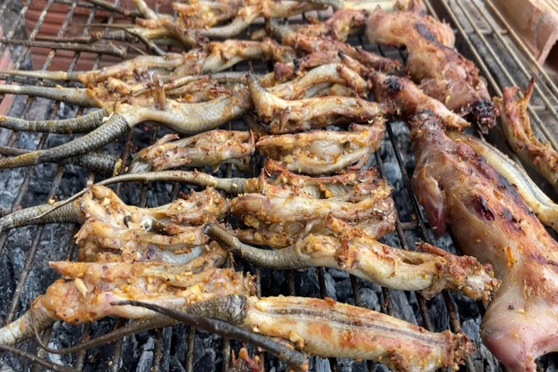 Con vật tưởng bỏ đi không ai thèm bắt lại là đặc sản nức tiếng An Giang, giá lên tới 350.000 đồng/kg vẫn ùn ùn người mua - 4