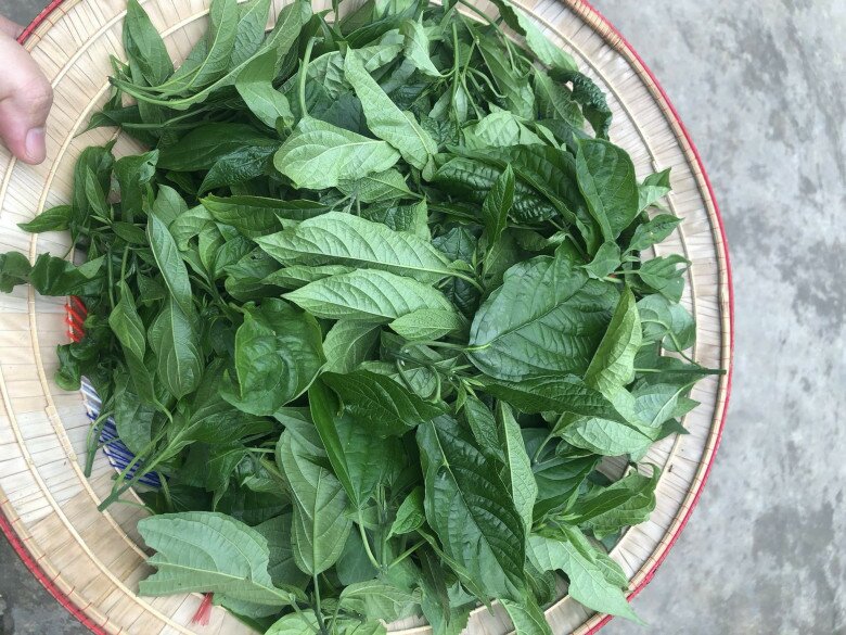Đặc sản được xem là &#34;lộc trời&#34; ở miền Bắc chỉ dành đãi khách quý, dân thành phố lùng mua nhưng cực hiếm có - 2