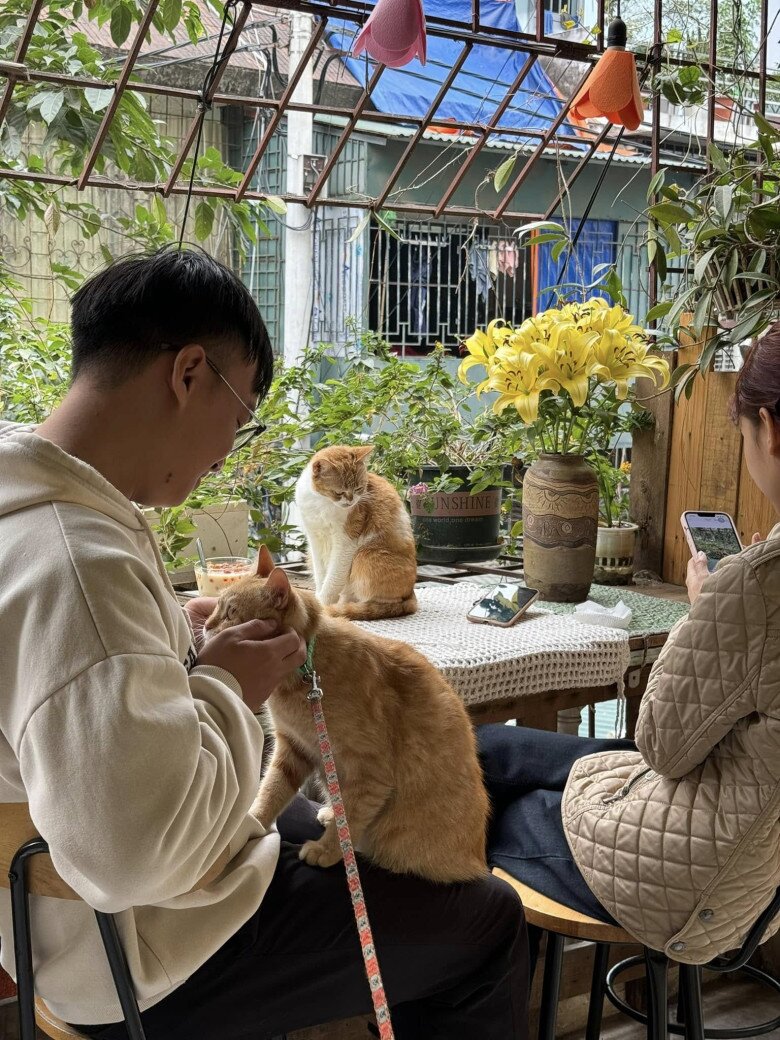 Giới trẻ &#34;săn lùng&#34; những quán cafe giấu mình trong khu tập thể cũ: Góc nào cũng xinh đảm bảo &#34;check-in cháy máy&#34; - 4