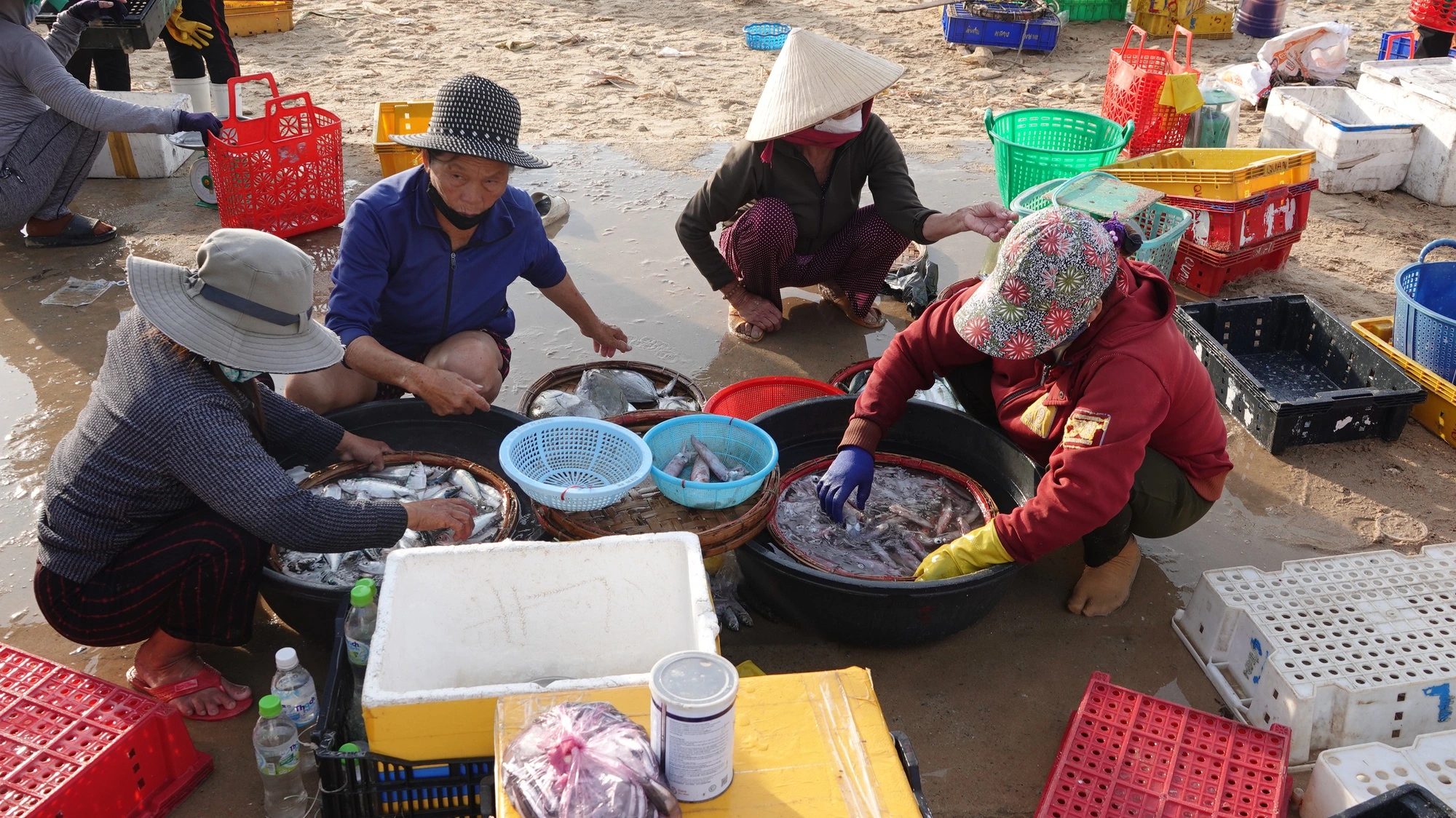 Hàng trăm phụ nữ đổ về khu chợ cá Quảng Ngãi mỗi sớm tinh mơ, cái tên lạ khiến nhiều người khó hiểu - 3