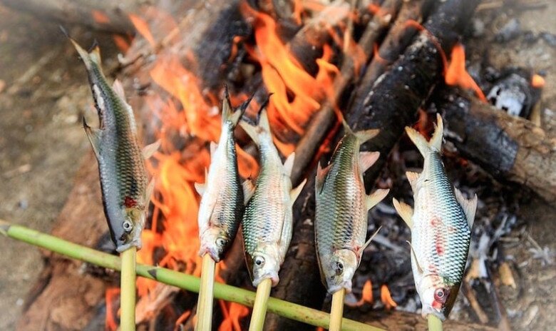 Loài cá chỉ có ở Nghệ An là đặc sản thơm ngon nức tiếng, nay hiếm đến mức phải bảo tồn dù giá lên tới 400.000 đồng/kg - 4