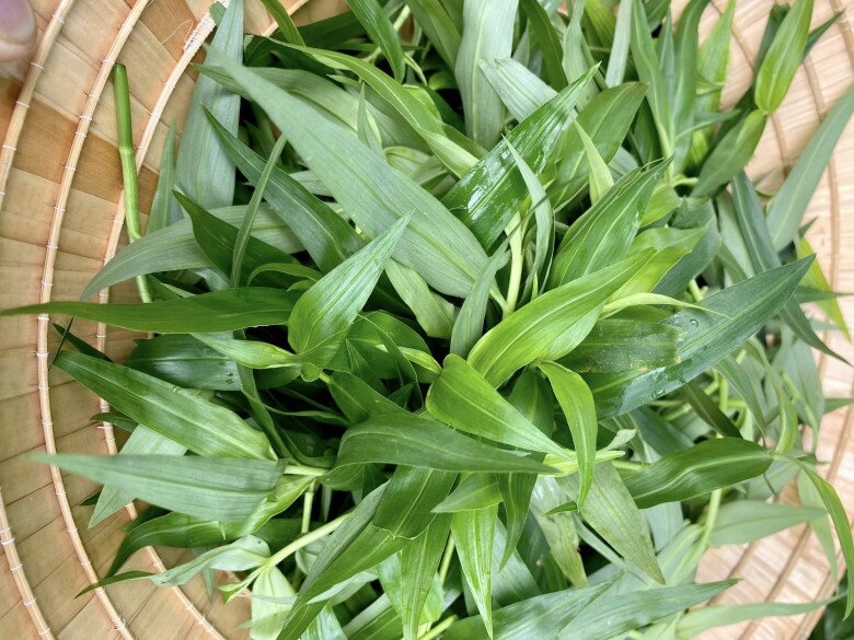 Loại cỏ dại xưa chỉ cho lợn ăn nay &#34;lên đời&#34; thành đặc sản siêu bổ dưỡng, giá đến 70.000đ/kg vẫn nườm nượp người mua - 2