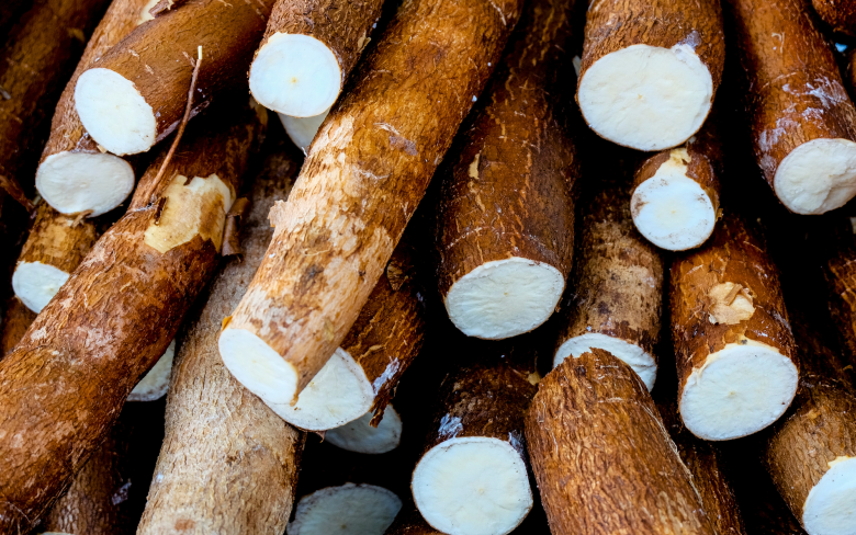 Loại củ rẻ như cho xưa để dân nghèo &#34;chống đói&#34;, nay được chế biến thành nhiều món ngon nức tiếng đặc sản nhiều nơi - 1