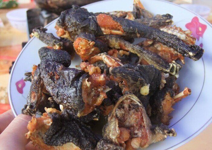 Loài đặc sản có vẻ ngoài kì dị chỉ có ở Lạng Sơn, xưa chỉ dùng để tiến vua nay hiếm có đến mức phải bảo tồn - 4