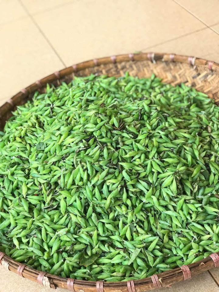 Loài vật khiến nhiều người khóc thét lại là đặc sản chỉ có ở Tây Nguyên, được mệnh danh là &#34;tôm rừng&#34; vì ăn cực ngọt béo - 3