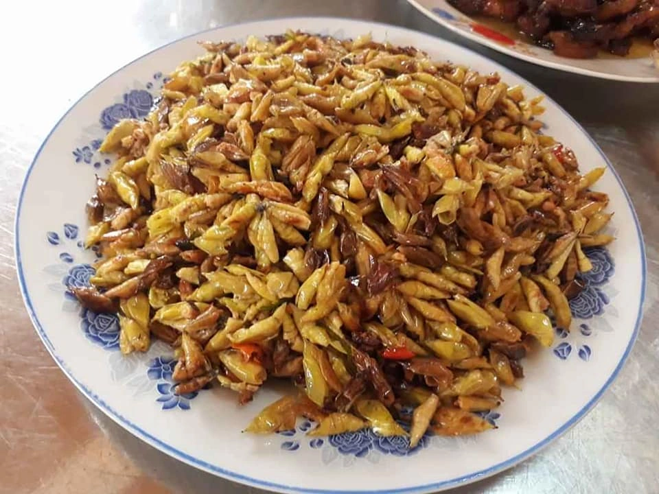 Loài vật khiến nhiều người khóc thét lại là đặc sản chỉ có ở Tây Nguyên, được mệnh danh là &#34;tôm rừng&#34; vì ăn cực ngọt béo - 6