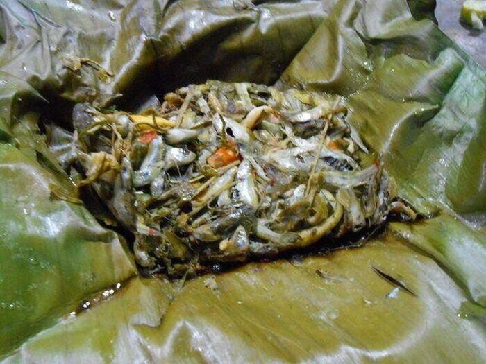 Loài vật nhìn &#34;nổi da gà&#34; lại là đặc sản ở Thanh Hóa, chuyên dùng đãi khách quý - 5