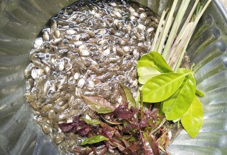Loài vật nhìn &#34;nổi da gà&#34; lại là đặc sản ở Thanh Hóa, chuyên dùng đãi khách quý - 4