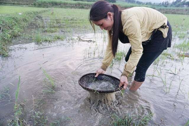 Loài vật nhìn &#34;nổi da gà&#34; lại là đặc sản ở Thanh Hóa, chuyên dùng đãi khách quý - 2