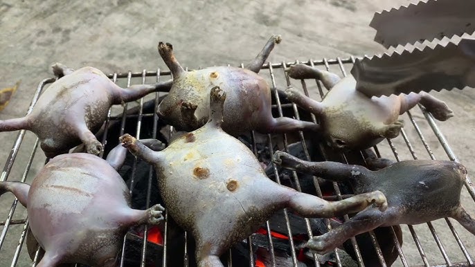 Loài vật tròn ủm trơn nhớt nhìn &#34;rợn người&#34; lại là đặc sản Bình Thuận, dân thành thị lùng mua dù giá cao vẫn hết veo - 4