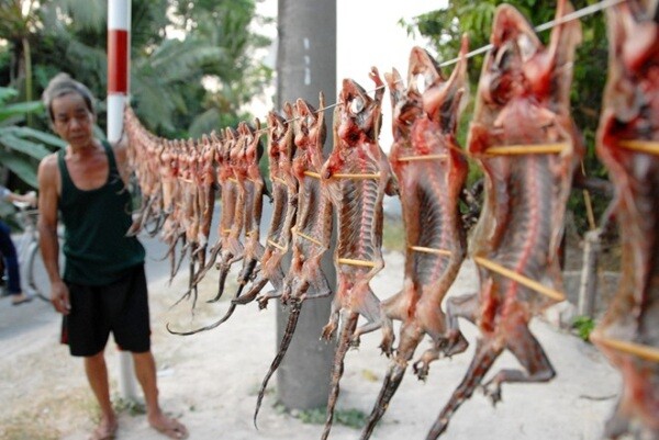 Loài vật vẻ ngoài khiến ai cũng rợn người là đặc sản chỉ có ở Tây Ninh, làm mồi nhậu thì hết chỗ chê - 4