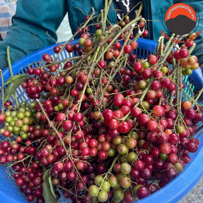 &#34;Lộc trời&#34; xưa mọc đầy rừng không ai hái, nay là đặc sản chị em lùng mua, giá cực cao vẫn hết hàng vèo vèo - 2