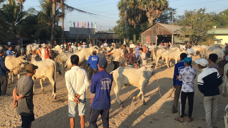Chợ lạ ở An Giang chỉ bán duy nhất một mặt hàng, ban đầu chỉ là chợ tạm giờ thành trung tâm lớn bậc nhất - 2